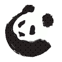 PandaX